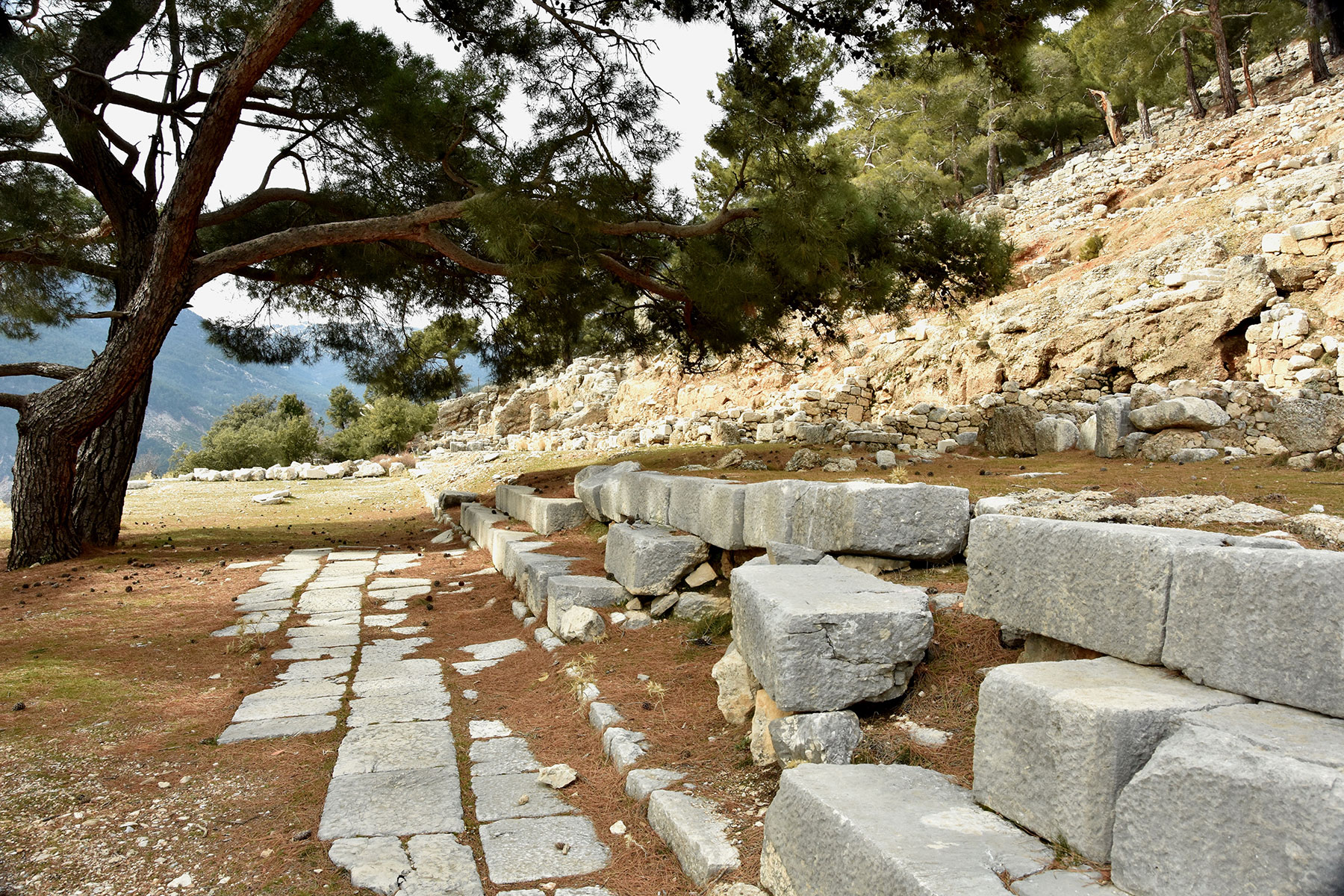 Arycanda is an Ancient Lycian city, former bishopric and present Catholic titular see in Antalya.
